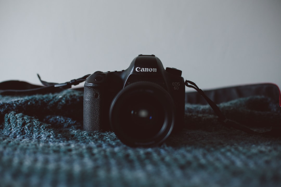 Macro Photography Example 1